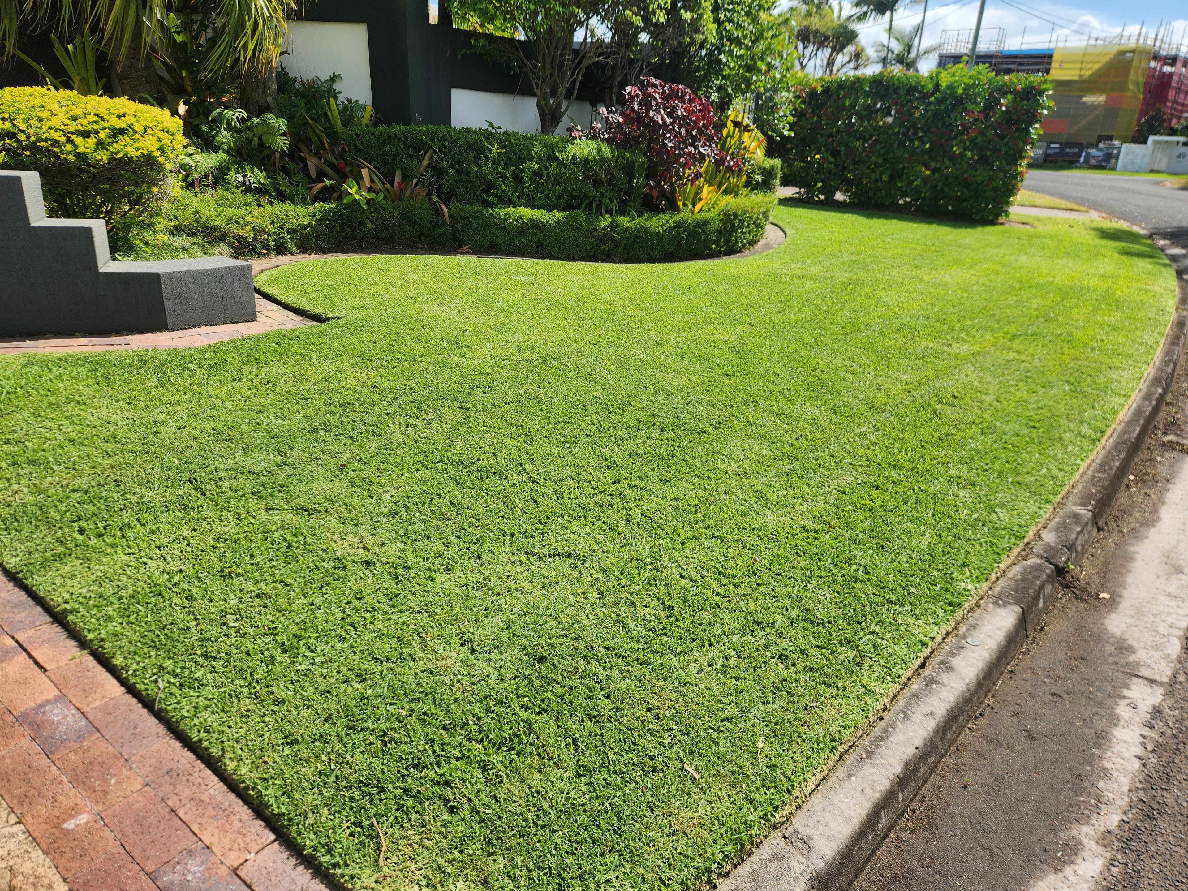 Curved front lawn with manicured hedges and garden beds