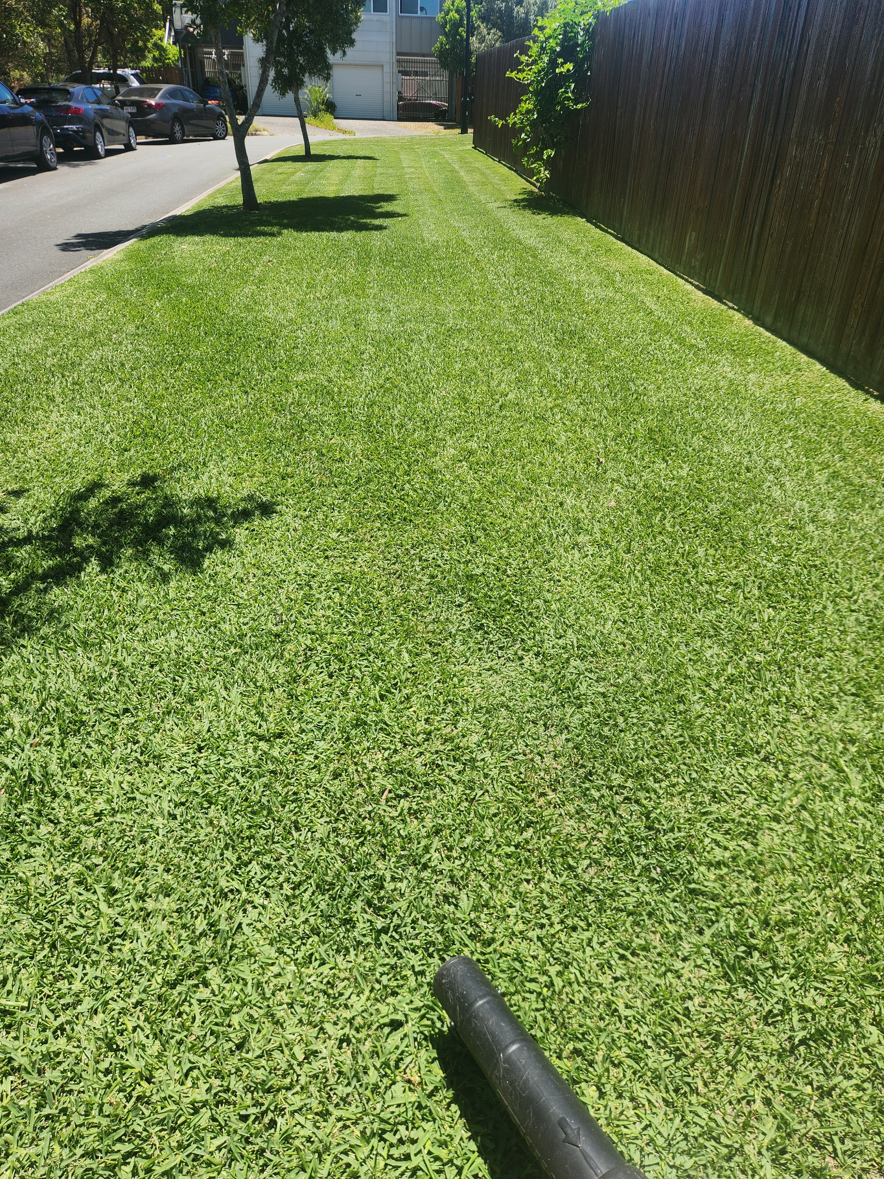 Freshly mowed lawn with leaf blower